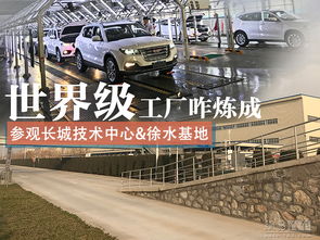 徐水长城汽车区号是多少(徐水长城汽车区号探秘)