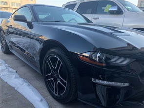 最贵的野马汽车多少钱(探秘最昂贵的野马汽车价格之谜)