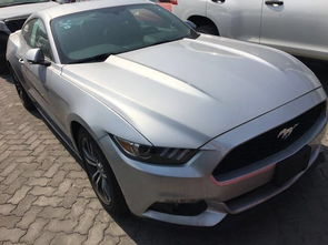 最贵的野马汽车多少钱(探秘最昂贵的野马汽车价格之谜)