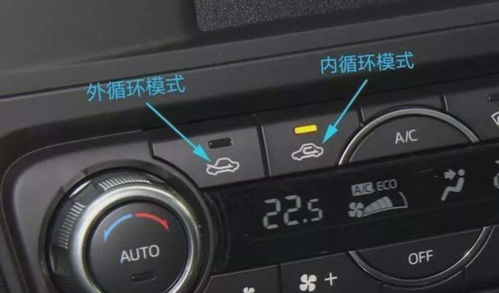 汽车空调叶片多少钱(汽车空调叶片价格解析)