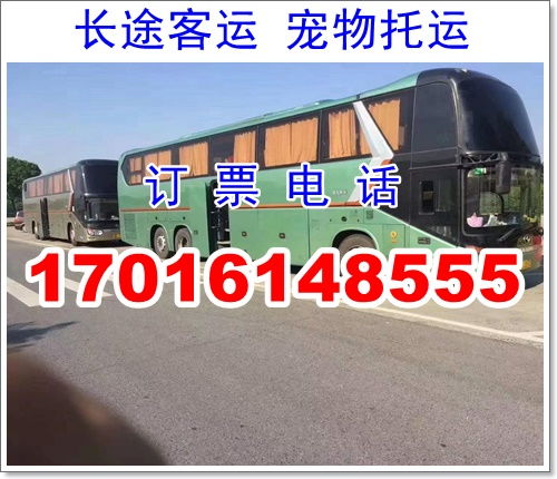 嘉兴去苏州汽车票多少(嘉兴至苏州汽车票价格及出行指南)