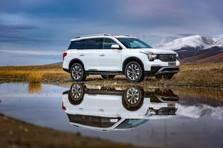 助力汽车一天耗油多少(助力汽车，一天耗油量揭秘)