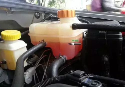 伊犁汽车冷却液价格多少(伊犁汽车冷却液价格解析)