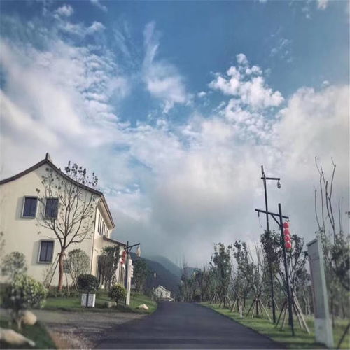 换汽车氟利昂多少钱(换汽车氟利昂的价格解析)