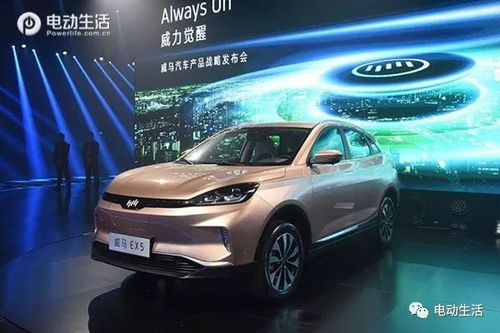 威马汽车每股多少钱(威马汽车股价揭秘，每股多少钱？