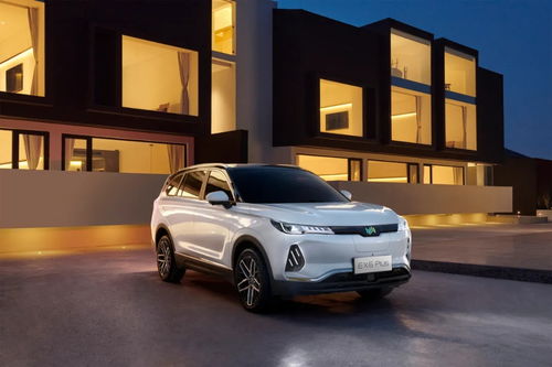 威马汽车每股多少钱(威马汽车股价揭秘，每股多少钱？