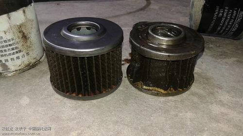 汽车润滑油滤芯多少目(汽车润滑油滤芯的重要性与选择标准—以多少目为关键词的探讨)