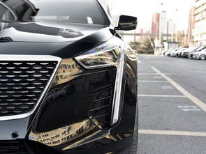 汽车黑武士摆件多少钱(汽车黑武士摆件价格解析)