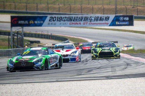 大型赛车有多少辆汽车(大型赛车赛事中的汽车数量探秘)