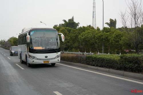 客运汽车多少公里每小时(客运汽车的行驶速度与距离)