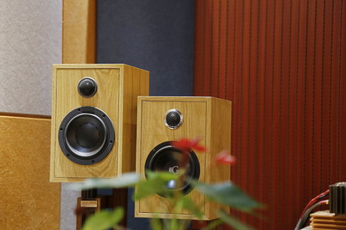 汽车更换喇叭多少钱(汽车喇叭更换费用解析)