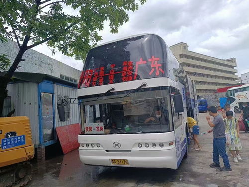 南阳有多少汽车站(南阳的汽车站数量及其分布)