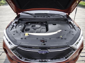 汽车加标多少钱(汽车加标，价格与价值的考量)