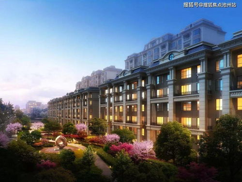 汽车遮阳板多少平方(汽车遮阳板，尺寸与平方数解析)