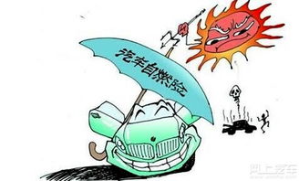 汽车自燃险能赔多少(汽车自燃险能赔多少？一文解读您的保险权益)