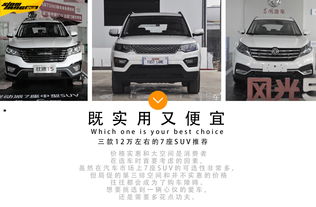 汽车胶壳多少钱(汽车胶壳价格解析，市场行情与选购指南)