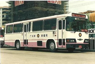 卢森堡有多少公共汽车(卢森堡公共汽车数量概览)