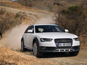 03年奥迪汽车报废多少(03年奥迪汽车报废数量分析报告)