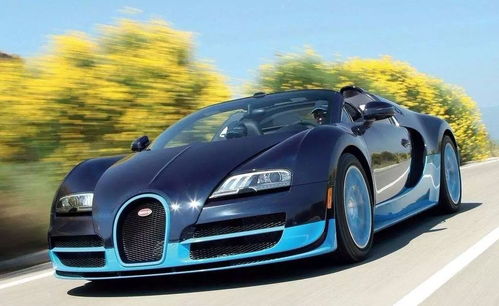 法国有多少辆布加迪汽车(法国布加迪汽车数量探秘)