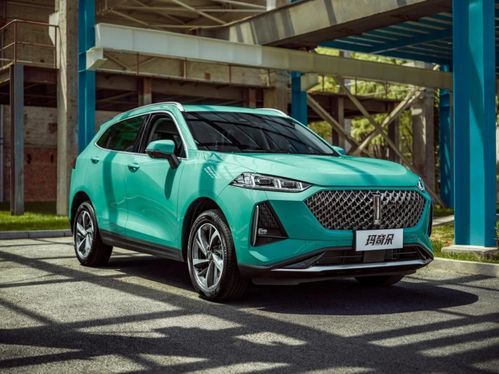 长城汽车股份收入多少(揭秘长城汽车股份的丰厚收入) 长城汽车股份收入多少(揭秘长城汽车股份的丰厚收入)