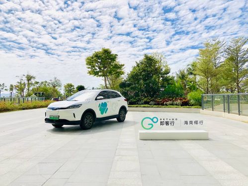 海南汽车多少钱落地(海南汽车市场解析，落地价格与购车选择)