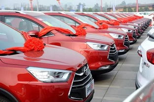 海南汽车多少钱落地(海南汽车市场解析，落地价格与购车选择)