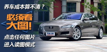 捷豹汽车最贵价格多少(捷豹汽车，最贵价格究竟是多少？