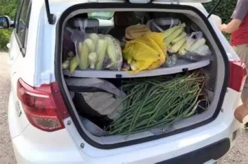 汽车空间能放多少水(汽车空间能放多少水？探究汽车储水能力的奥秘)