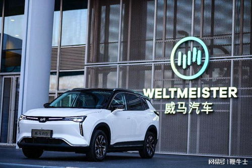 威马汽车员工多少薪(威马汽车员工薪酬体系解析)