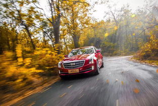 菏泽的汽车共有多少集(菏泽汽车集结数量探究)