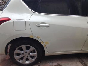 汽车油漆白珍珠价格多少(汽车油漆白珍珠价格解析)