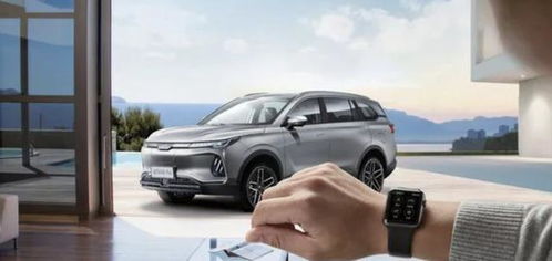 汽车定制高度是多少米(汽车定制的精确高度，探索现代汽车工业的定制化趋势)