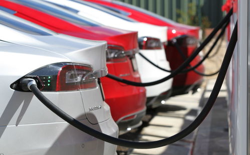 冬天汽车电瓶加多少(冬天汽车电瓶的充电量与维护)