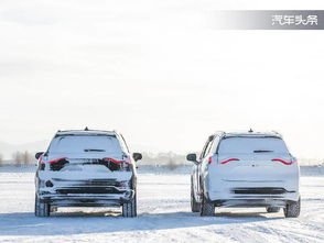 冬天汽车加多少柴油(冬季汽车加油指南，柴油量如何合理添加)