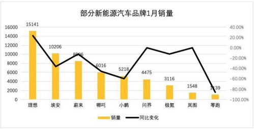 汽车失速试验指数是多少(汽车失速试验指数详解)