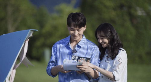 汽车过户10万补偿多少(汽车过户与10万补偿的深度解析)