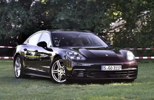 保时捷汽车音响排名多少(保时捷汽车音响排名揭秘)