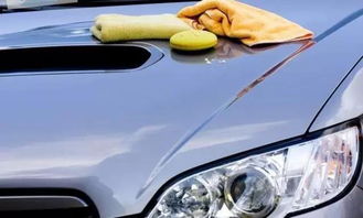 汽车贴膜需要多少资金(汽车贴膜，预算与资金需求分析)