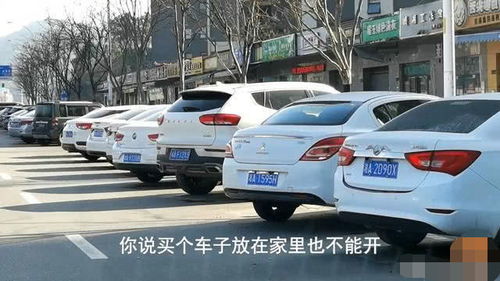 信阳汽车年收费多少辆(信阳汽车年收费及数量概览)