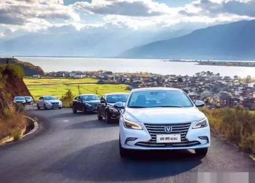 信阳汽车年收费多少辆(信阳汽车年收费及数量概览)