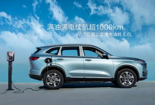 汽车哈佛满油能跑多少(汽车哈佛满油续航能力揭秘)