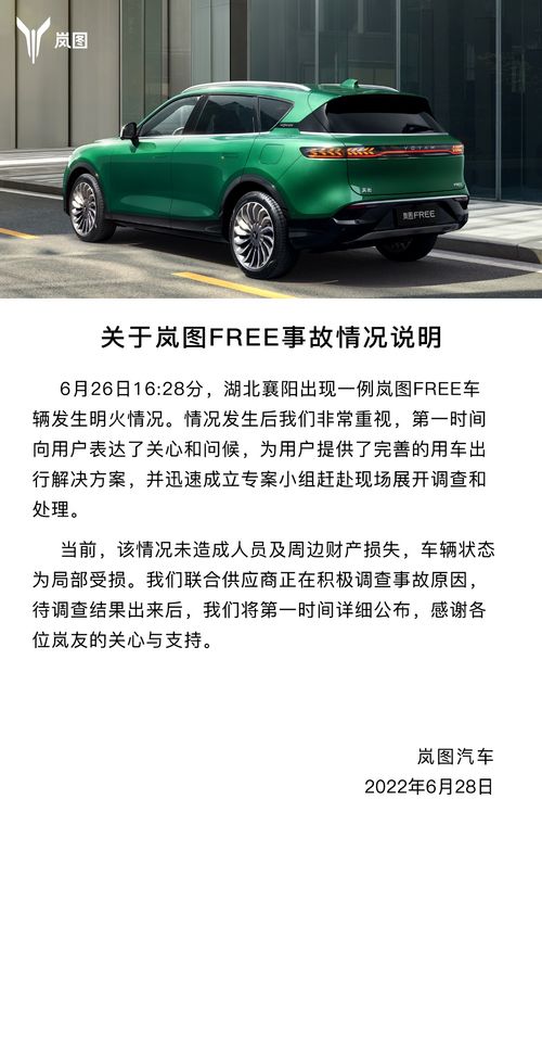 岚图汽车销售底薪多少(揭秘岚图汽车销售底薪，市场、待遇与前景分析)