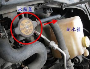 汽车水箱清理多少钱(汽车水箱清理费用解析)