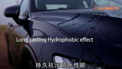 汽车养鱼设备多少钱(汽车养鱼设备，价格与选择)