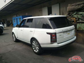 维克汽车多少钱(维克汽车价格解析)