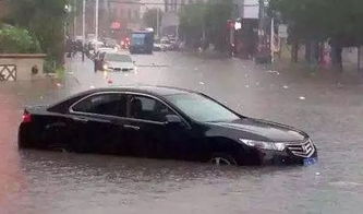 郑州有多少汽车被水泡(郑州汽车淹没之灾，被水泡的汽车数量揭秘)