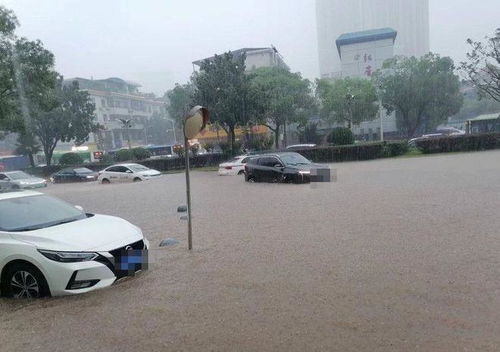 郑州有多少汽车被水泡(郑州汽车淹没之灾，被水泡的汽车数量揭秘)