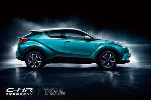 深圳有多少本土品牌汽车(深圳本土品牌汽车数量概览)