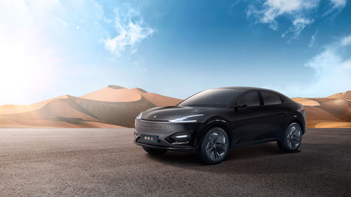 深圳有多少本土品牌汽车(深圳本土品牌汽车数量概览)