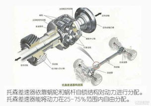汽车满载时前轴载荷多少(汽车满载时前轴载荷的解析与重要性) 汽车满载时前轴载荷多少(汽车满载时前轴载荷的解析与重要性)